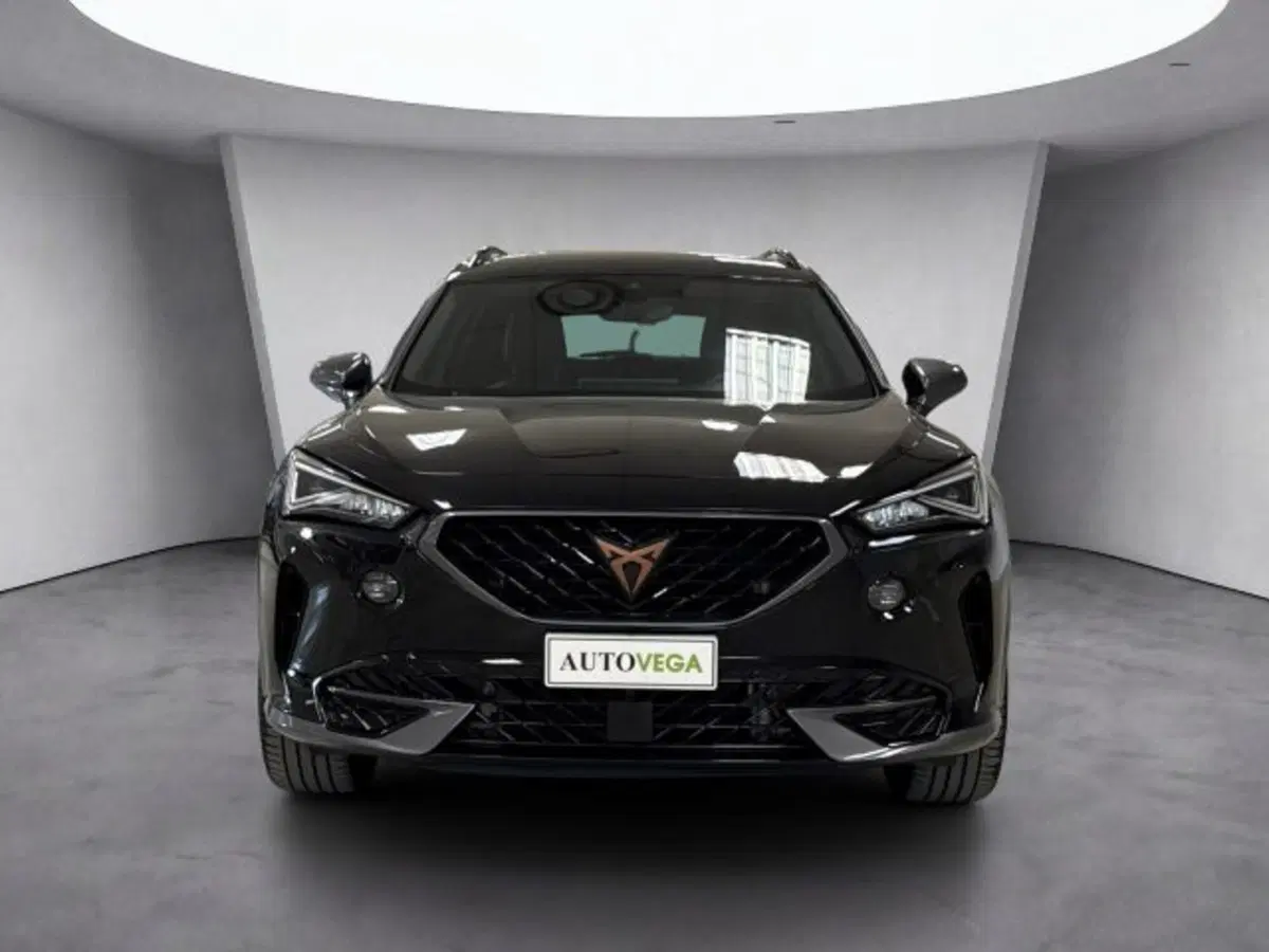 Cupra Formentor usata a Vicenza (2)