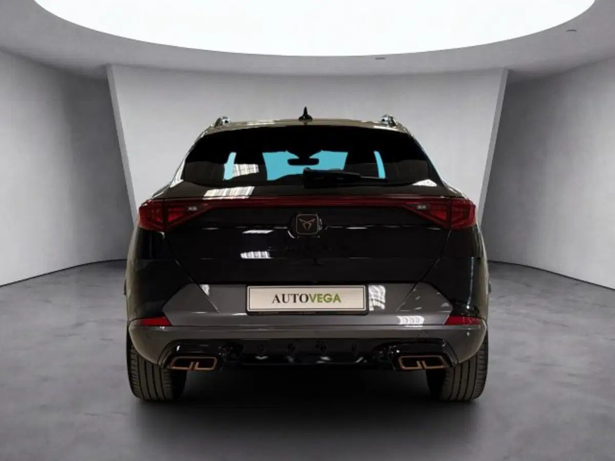 Cupra Formentor usata a Vicenza (5)