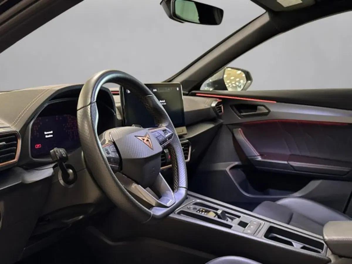Cupra Formentor usata a Vicenza (7)