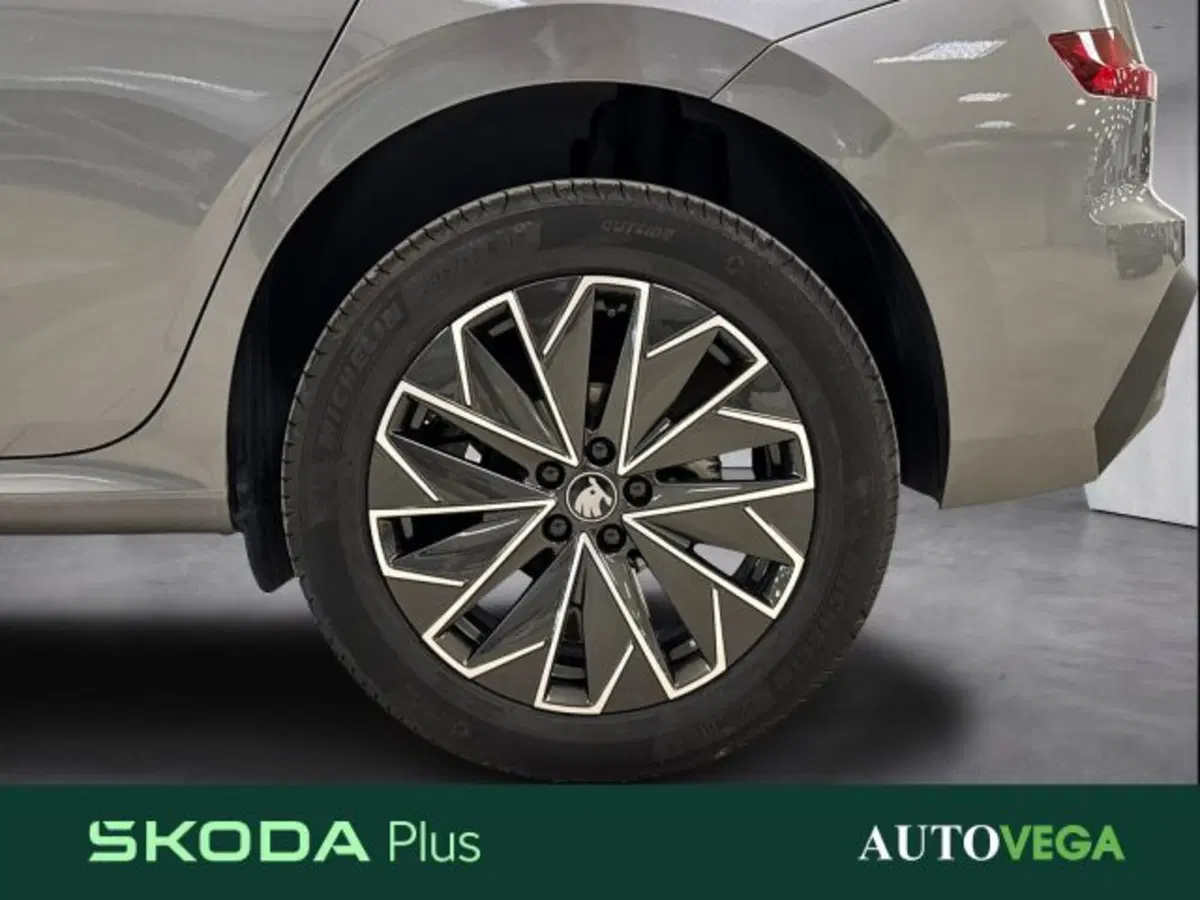 Skoda Kamiq usata a Vicenza (18)