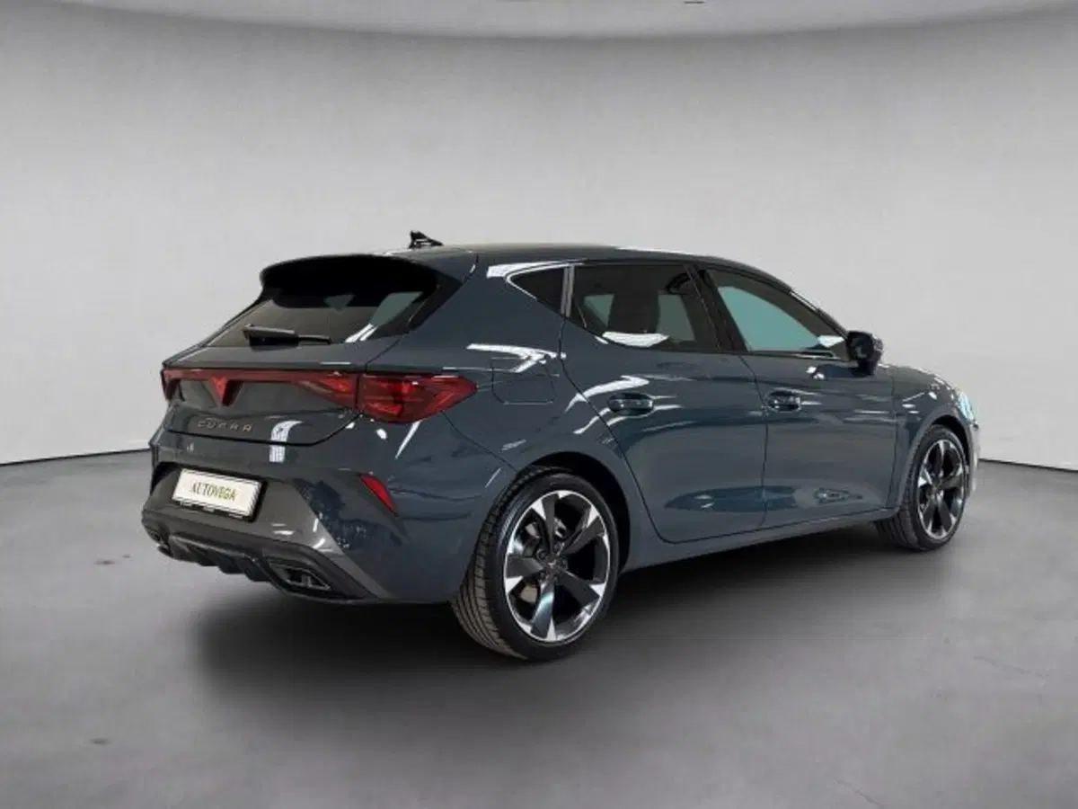 Cupra Leon usata a Vicenza (4)