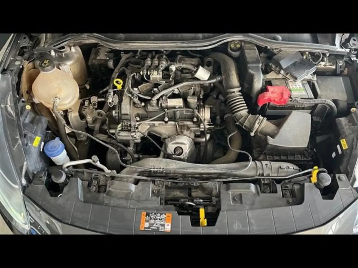 Ford Fiesta usata a Firenze (14)