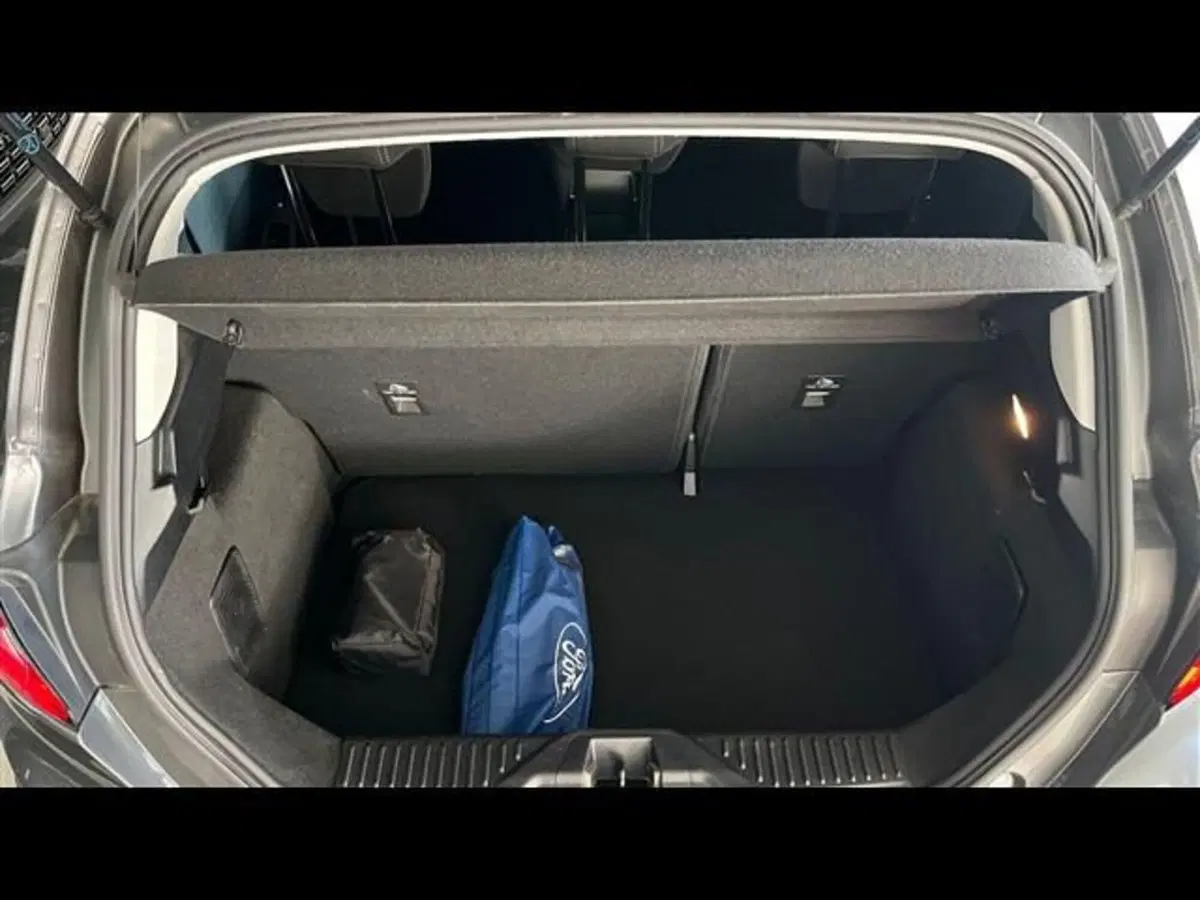 Ford Fiesta usata a Firenze (5)