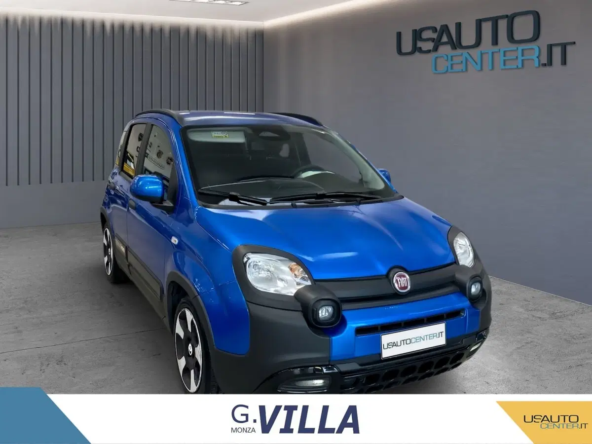 Fiat Pandina usata a Monza e Brianza (10)