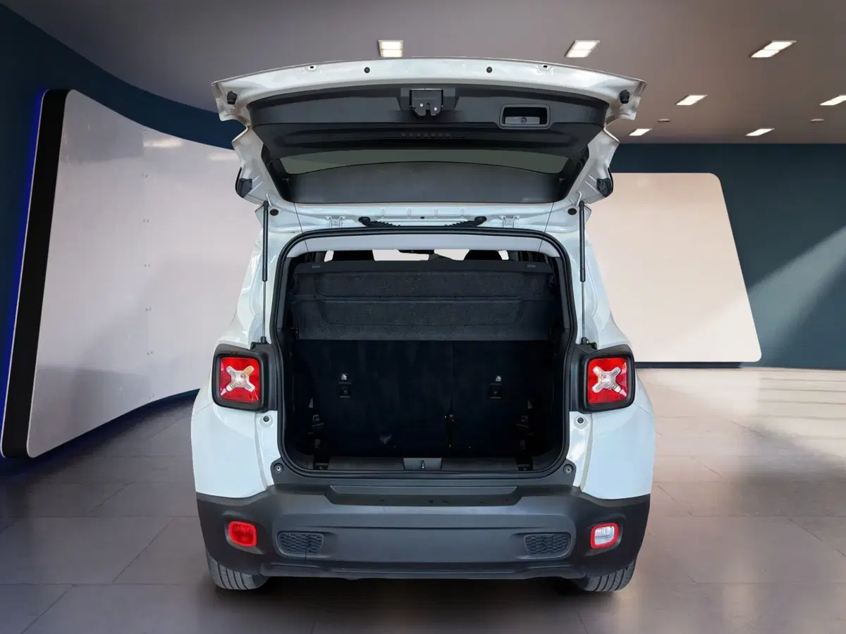 Jeep Renegade usata a Torino (7)