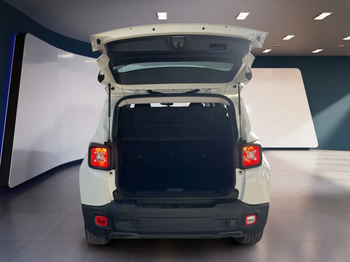 Jeep Renegade usata a Torino (7)