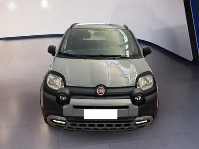 Fiat Panda Cross Cross 1.0 FireFly S&S Hybrid del 2021 usata a Torino