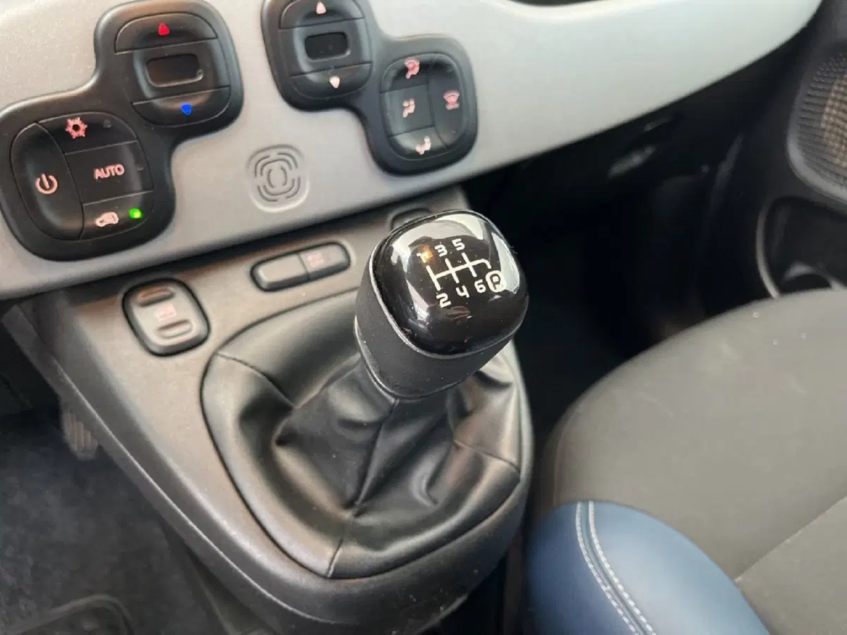 Fiat Panda Cross usata a Torino (12)