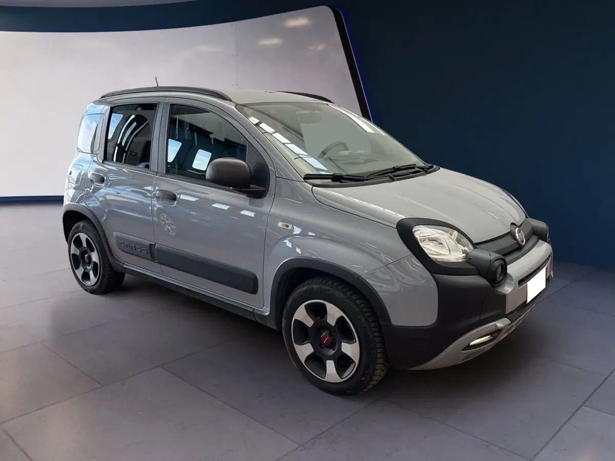 Fiat Panda Cross usata a Torino (2)