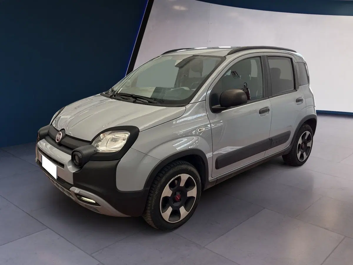 Fiat Panda Cross usata a Torino (3)