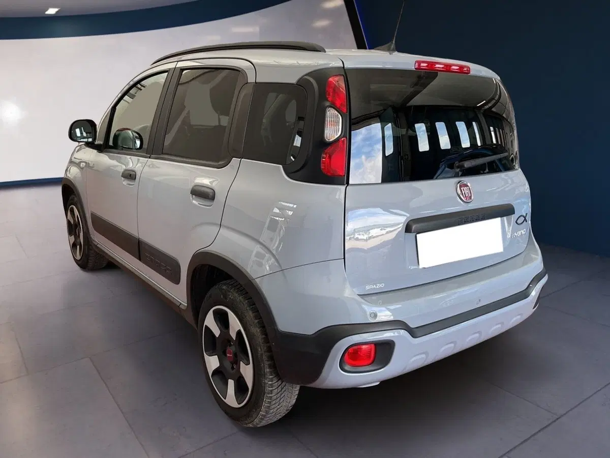 Fiat Panda Cross usata a Torino (4)