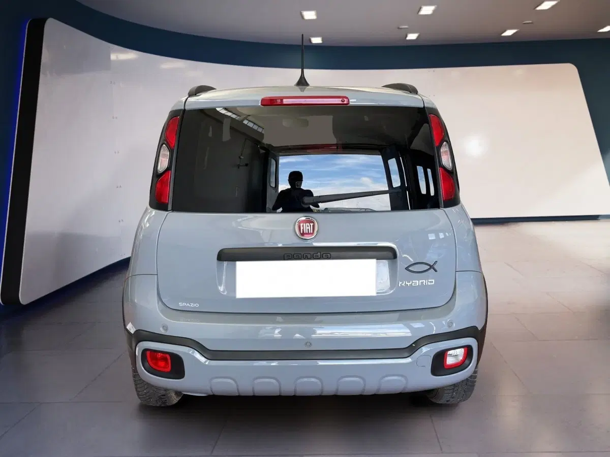 Fiat Panda Cross usata a Torino (5)