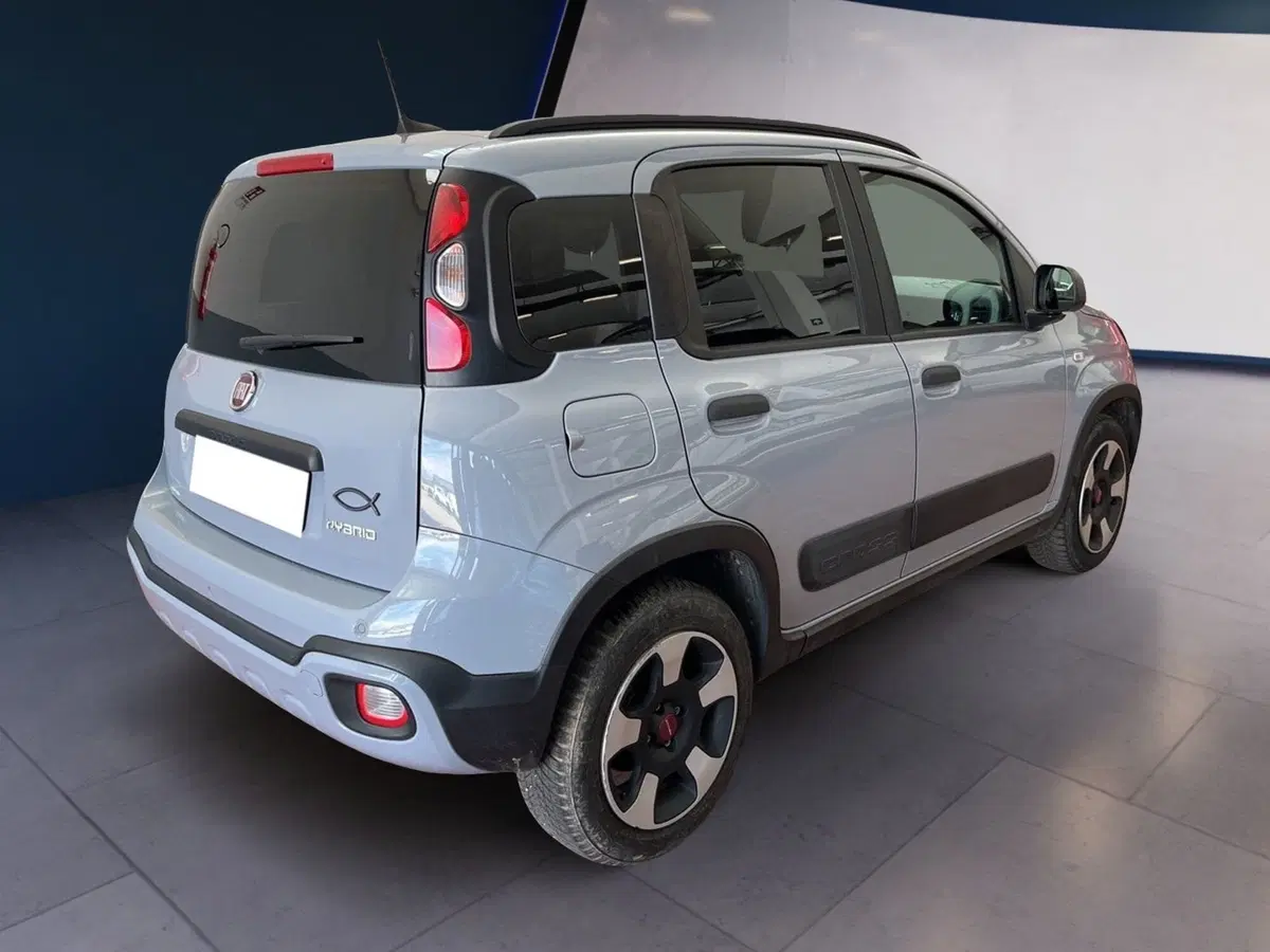 Fiat Panda Cross usata a Torino (6)