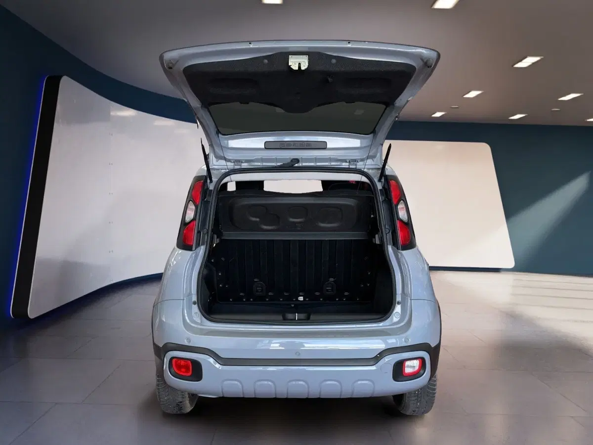 Fiat Panda Cross usata a Torino (7)