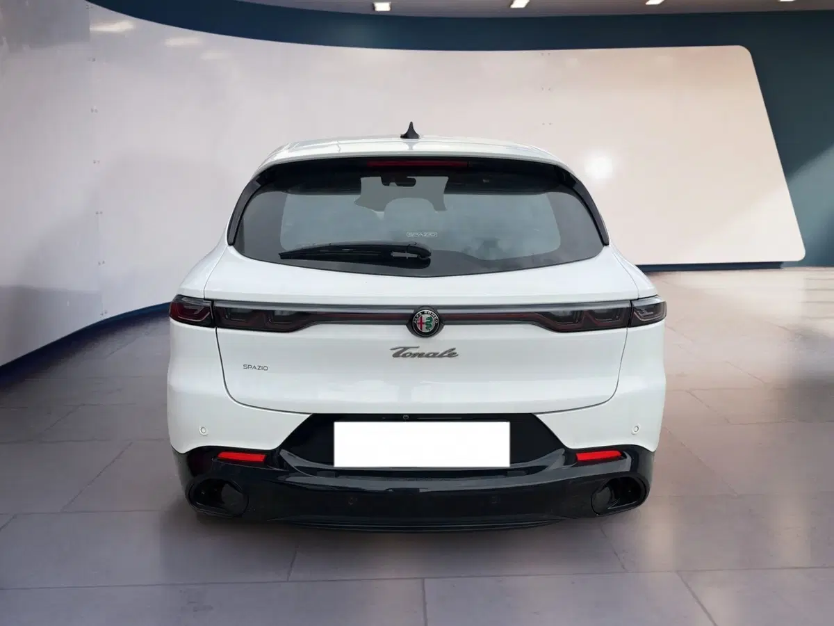Alfa Romeo Tonale usata a Torino (2)