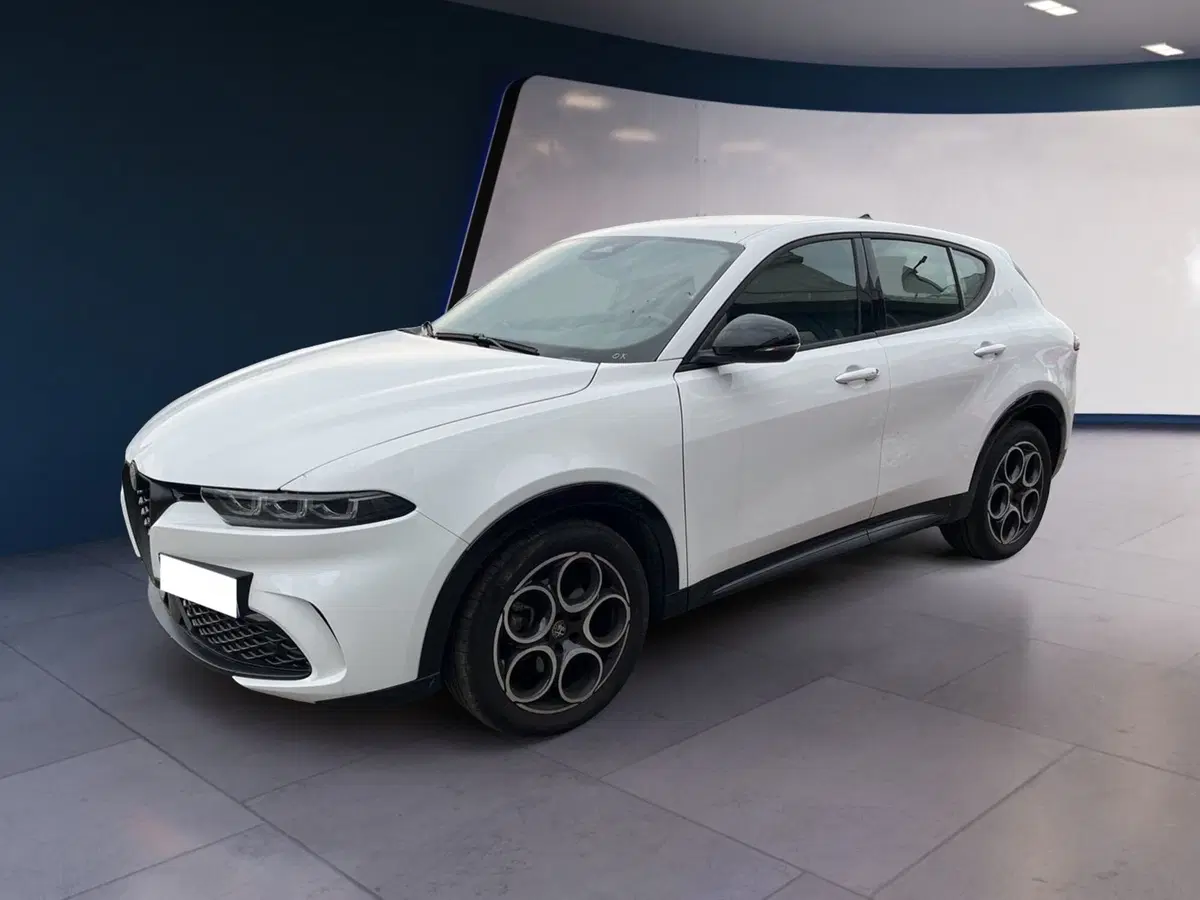 Alfa Romeo Tonale usata a Torino (6)