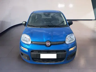 Fiat Pandina 1.0 firefly hybrid s&s 70cv del 2025 usata a Torino