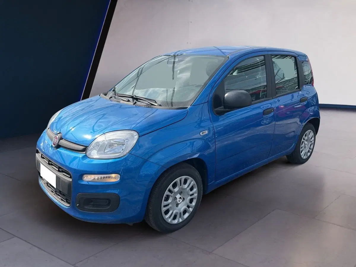 Fiat Pandina usata a Torino (2)