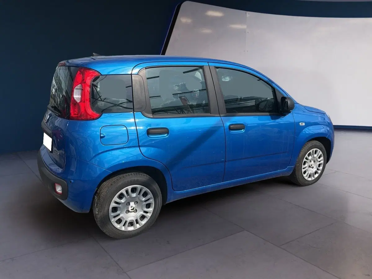 Fiat Pandina usata a Torino (4)