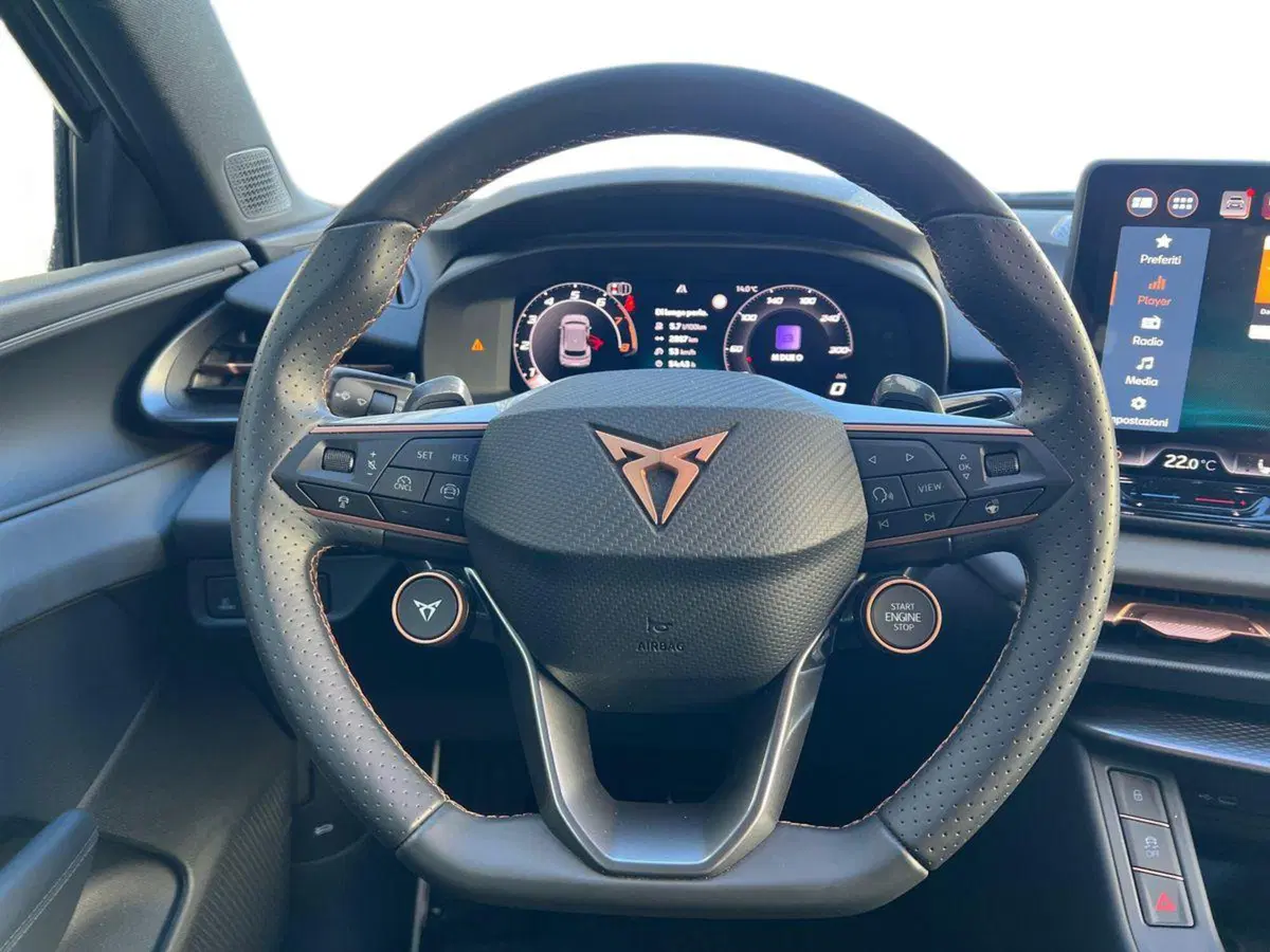 Cupra Terramar usata a Siena (13)