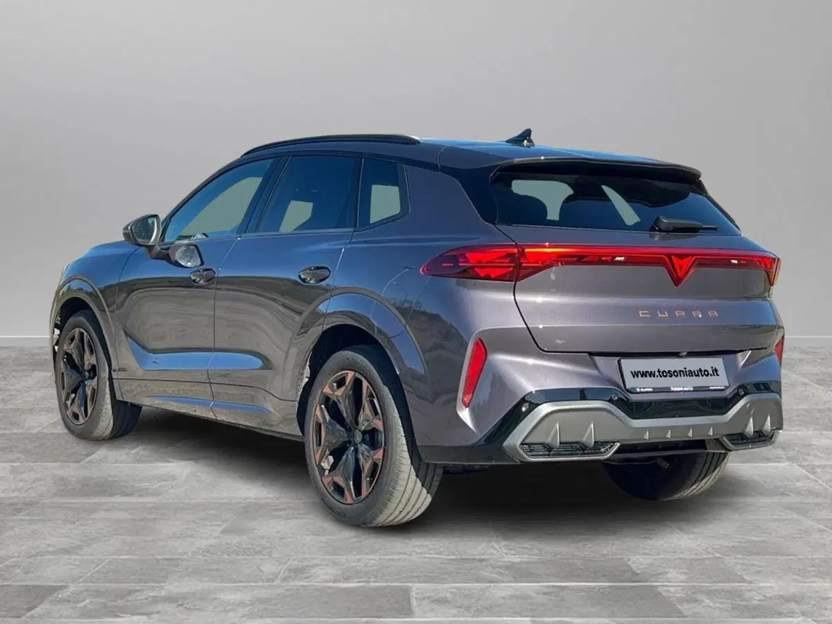 Cupra Terramar usata a Siena (7)