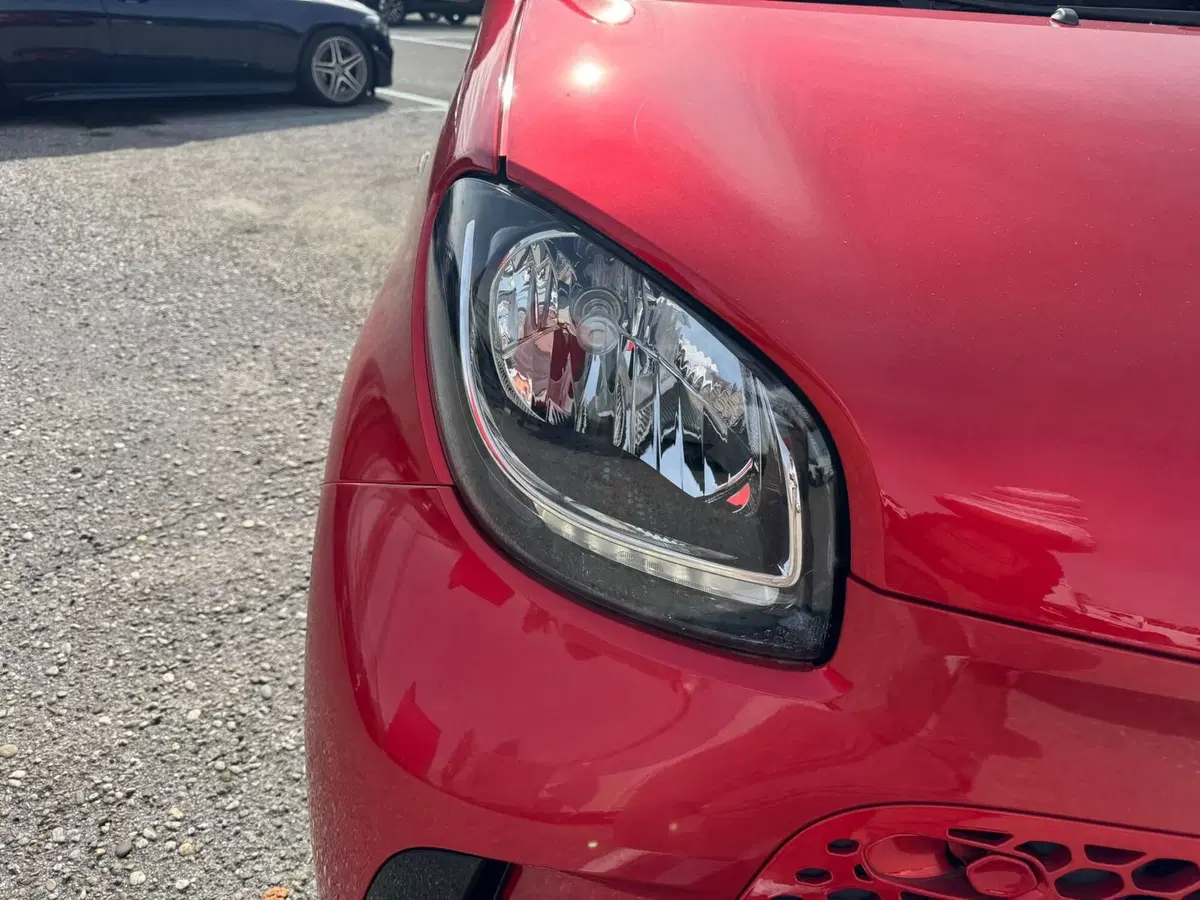 smart forfour usata a Monza e Brianza (14)
