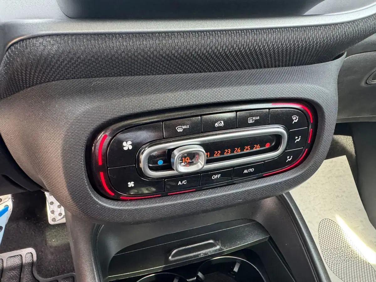 smart forfour usata a Monza e Brianza (18)