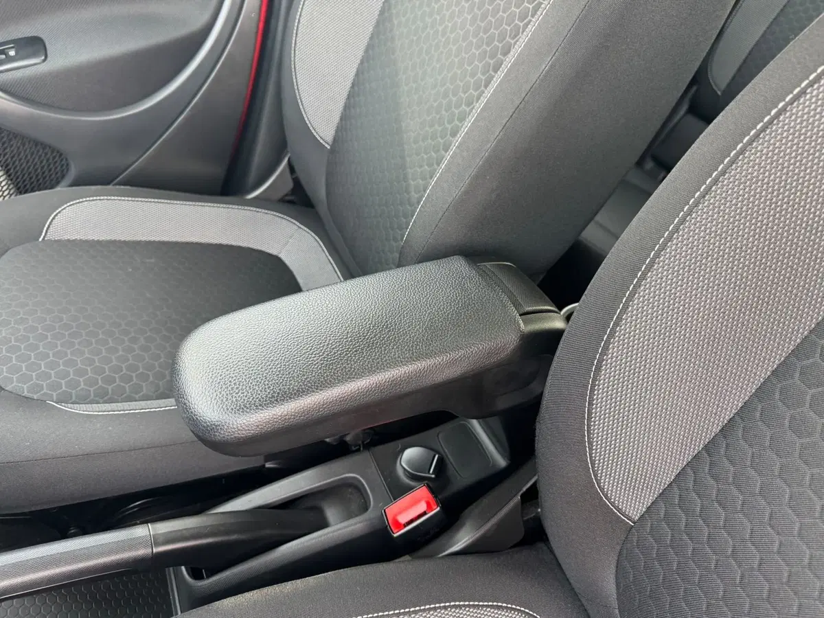 smart forfour usata a Monza e Brianza (20)