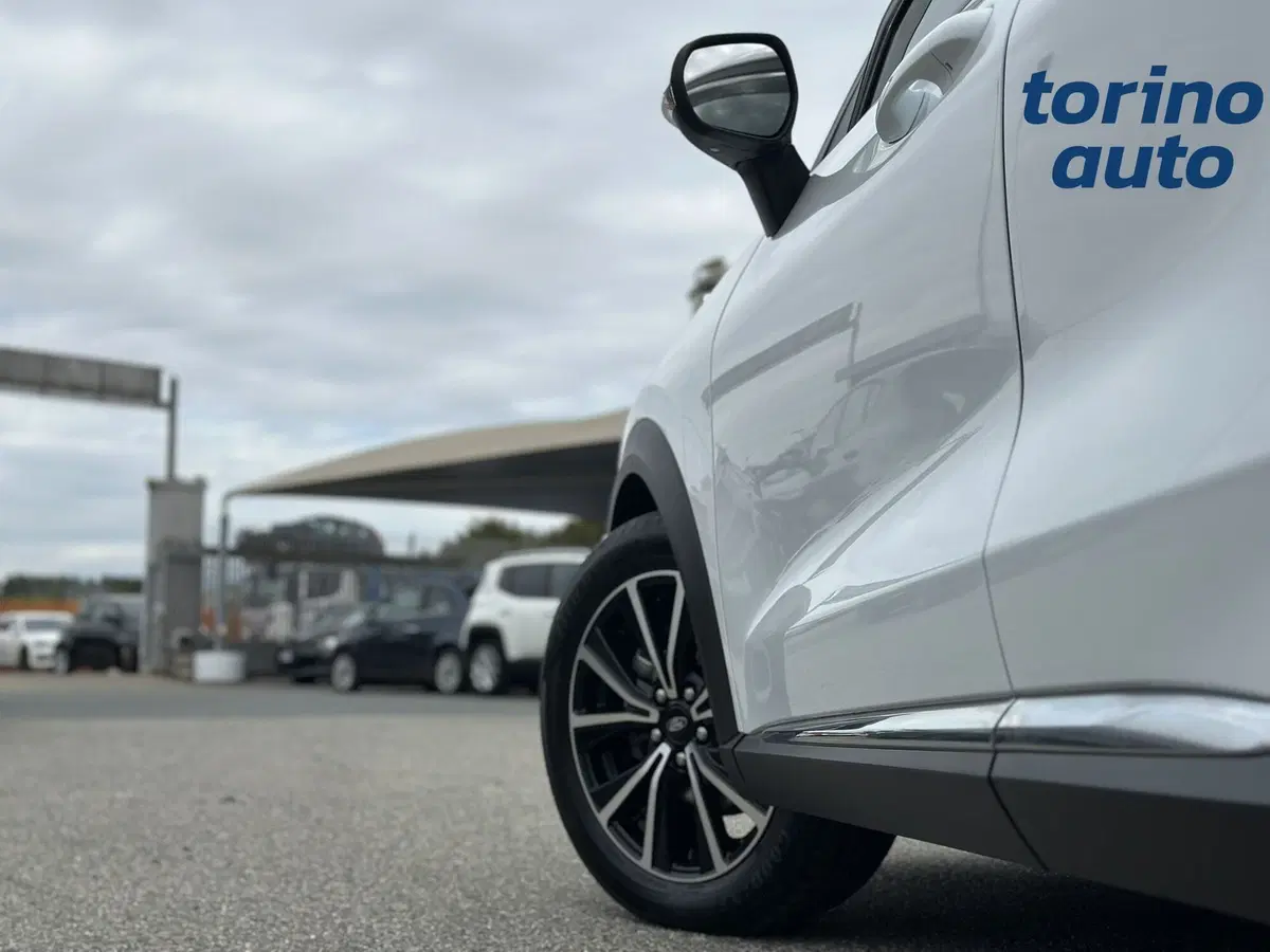 Ford Puma usata a Torino (10)