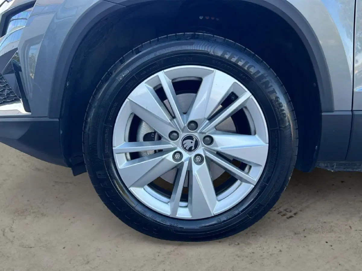 Skoda Karoq usata a Siena (9)