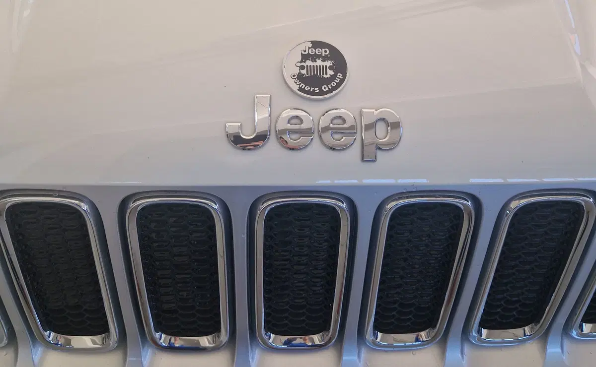Jeep Renegade usata a Terni (20)