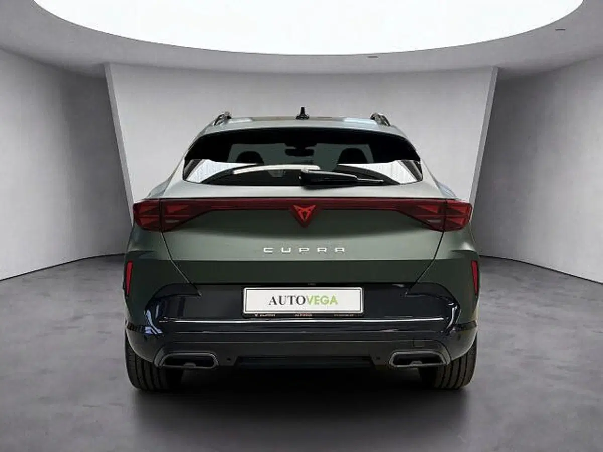 Cupra Formentor usata a Vicenza (9)