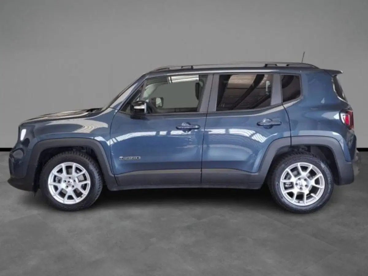 Jeep Renegade usata a Verona (2)