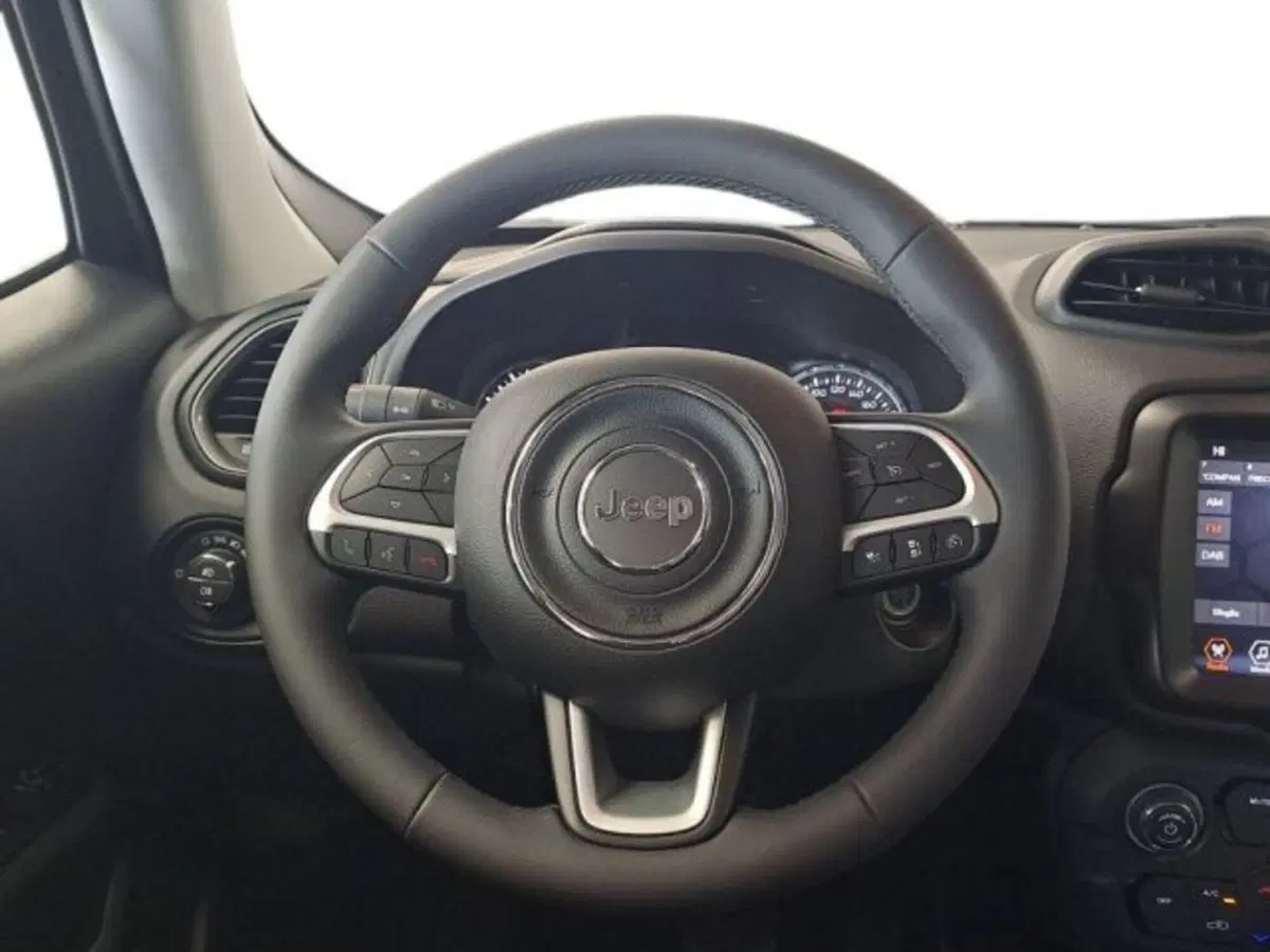 Jeep Renegade usata a Verona (9)