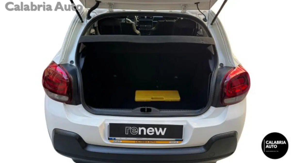 Citroen C3 usata a Reggio Calabria (5)