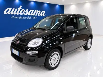 Fiat Panda 1.0 firefly hybrid s&s 70cv nuova a Rho