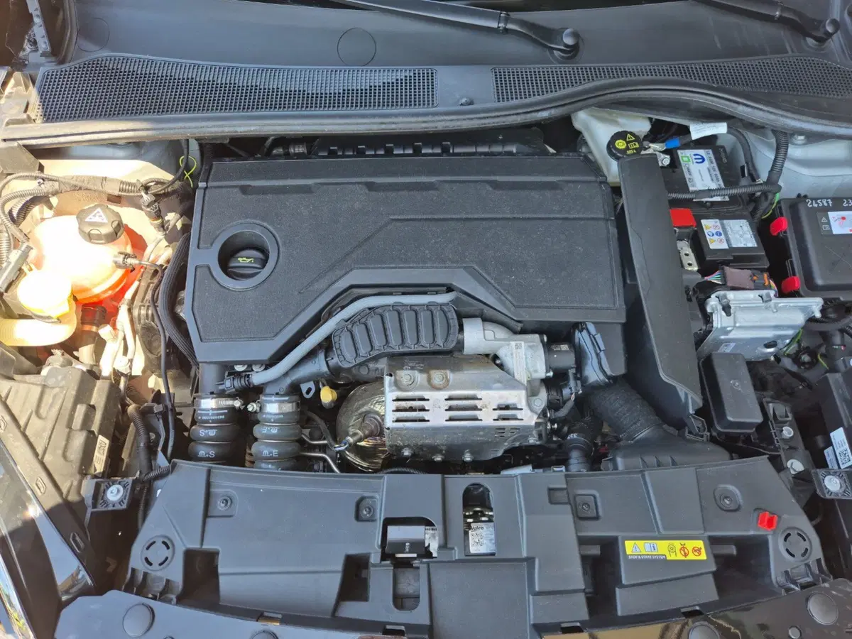 Fiat 600 usata a Brindisi (11)