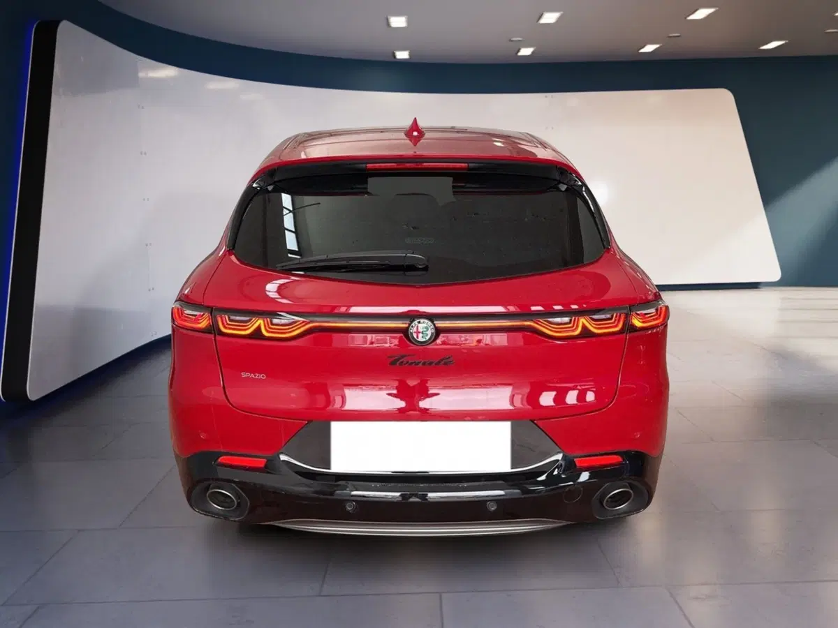 Alfa Romeo Tonale usata a Torino (5)