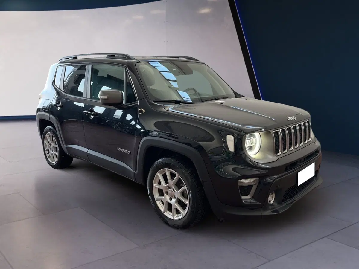 Jeep Renegade usata a Torino (2)