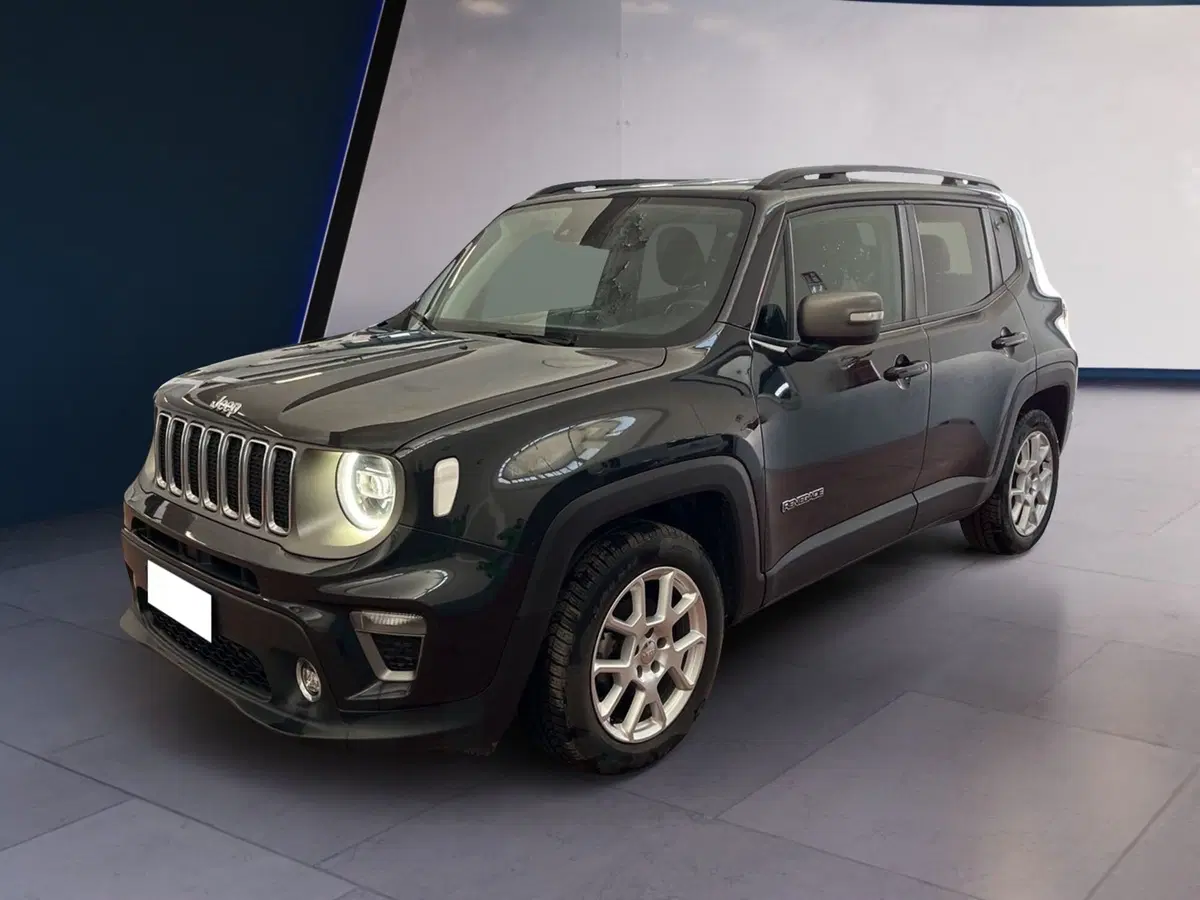 Jeep Renegade usata a Torino (3)