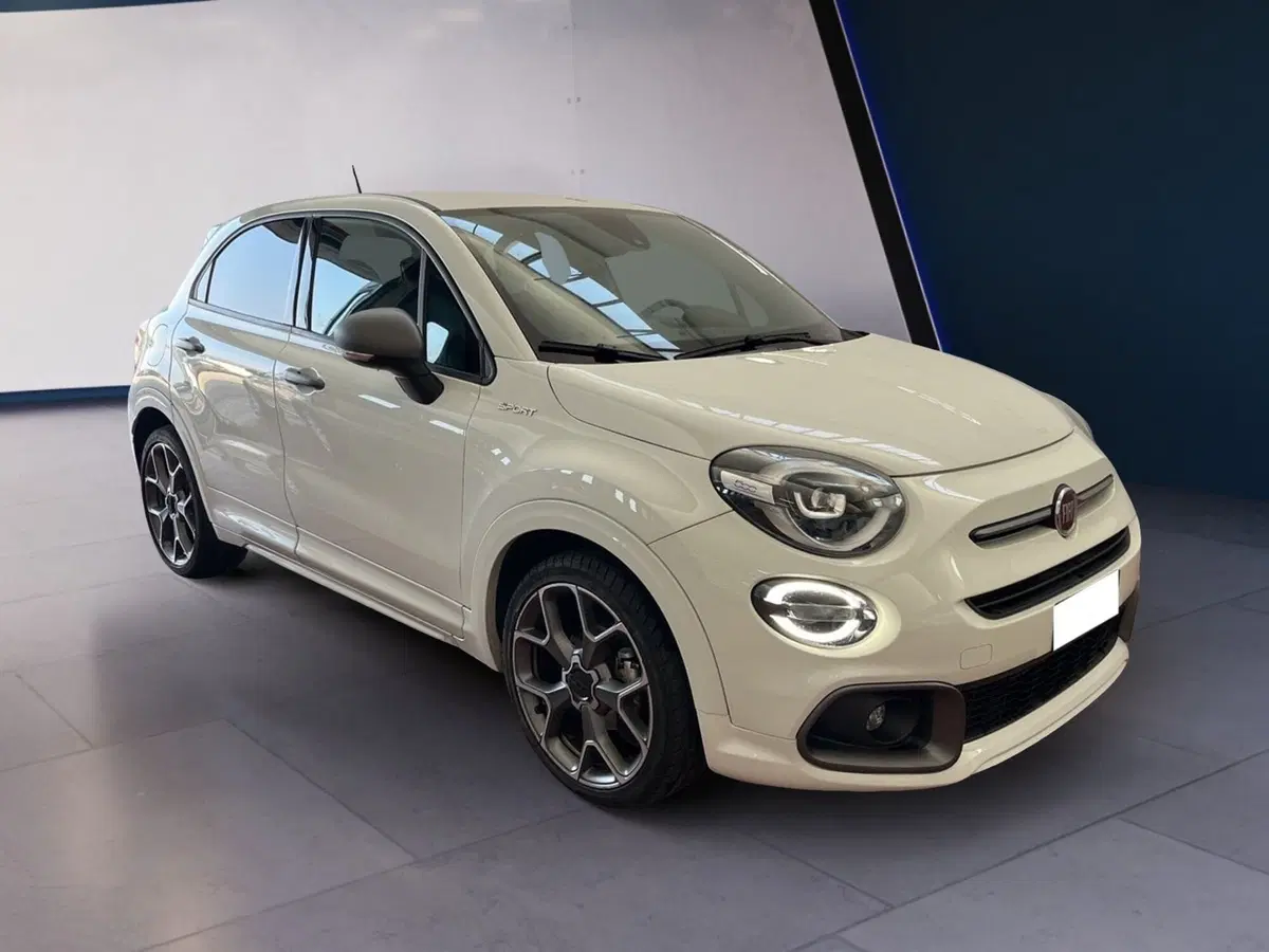Fiat 500X usata a Torino (3)