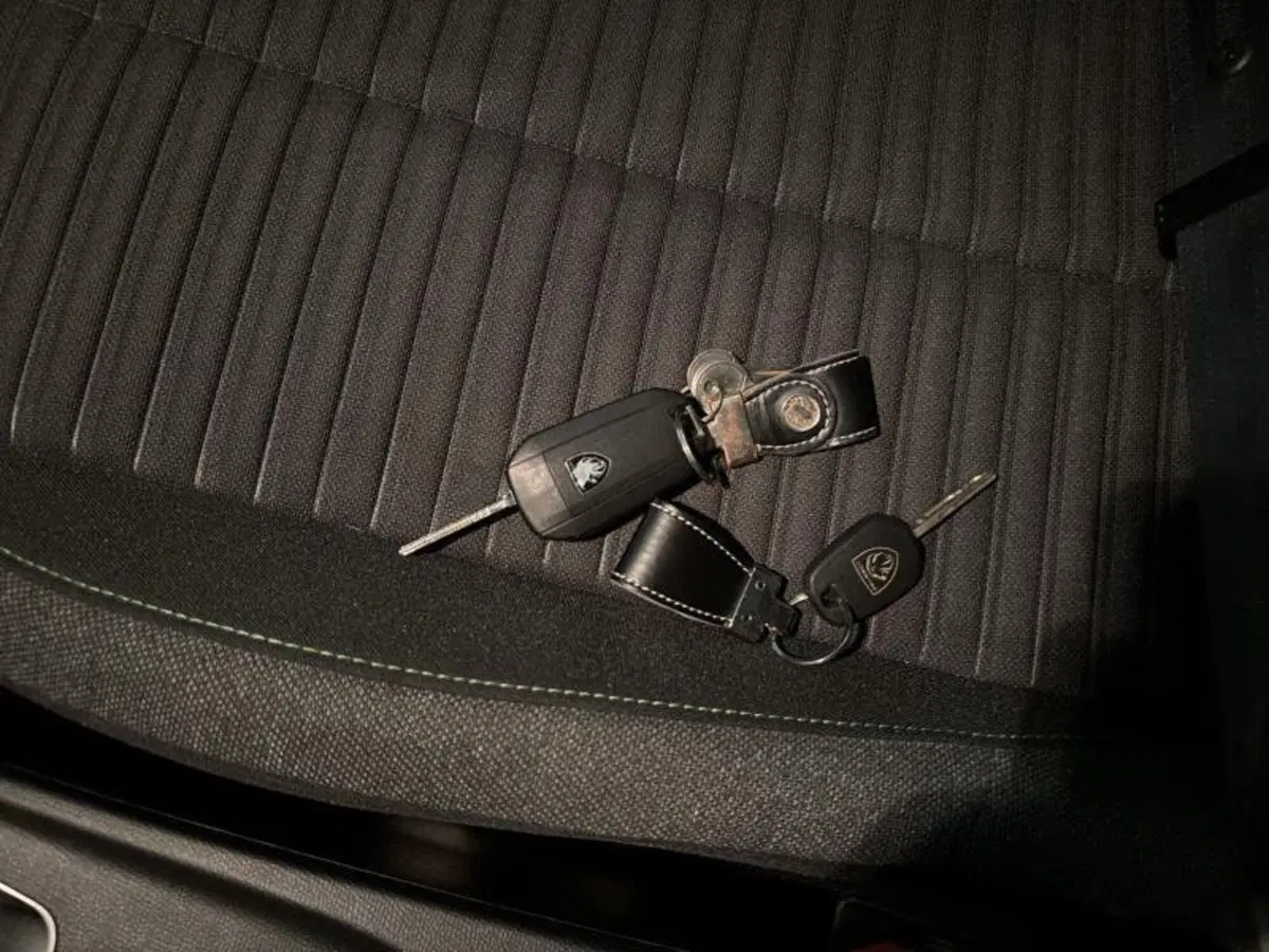 Peugeot 208 usata a Genova (19)