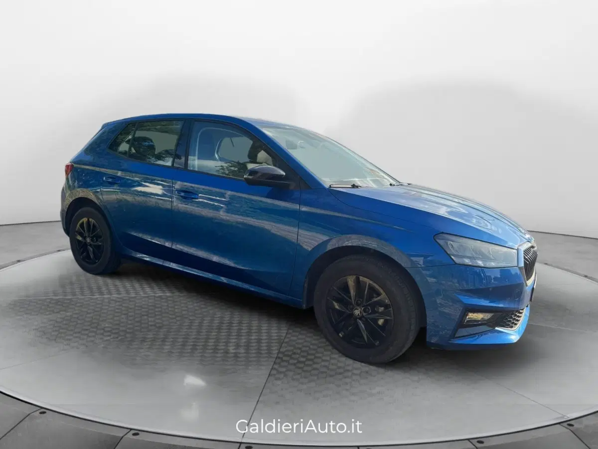 Skoda Fabia usata a Salerno (2)