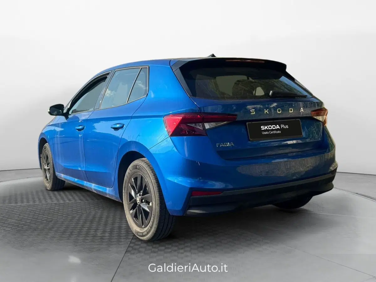 Skoda Fabia usata a Salerno (3)