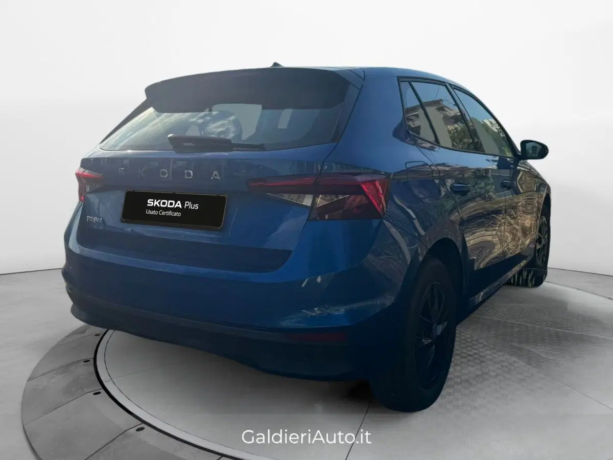 Skoda Fabia usata a Salerno (4)