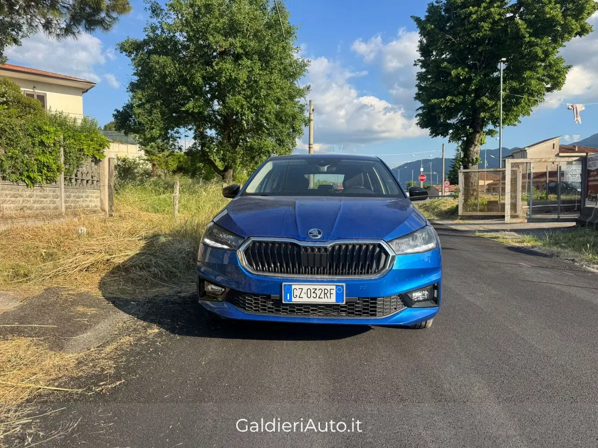 Skoda Fabia usata a Salerno (9)