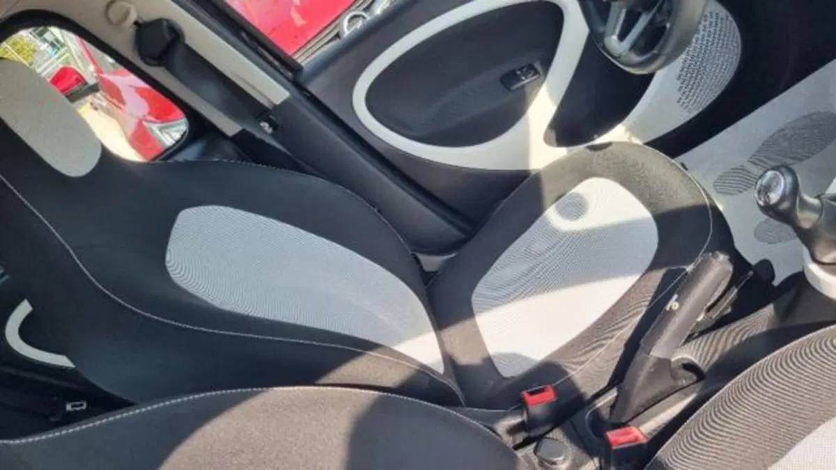 smart forfour usata a Savona (11)
