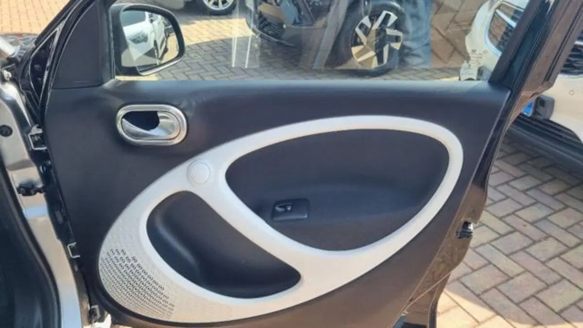 smart forfour usata a Savona (12)