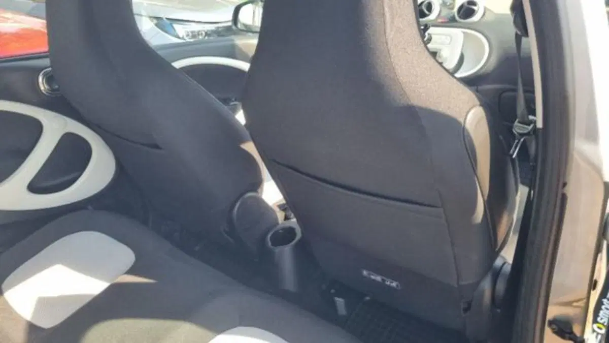 smart forfour usata a Savona (13)