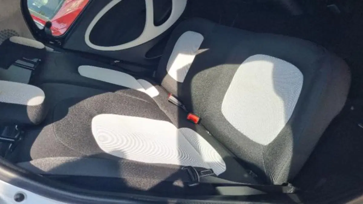smart forfour usata a Savona (14)